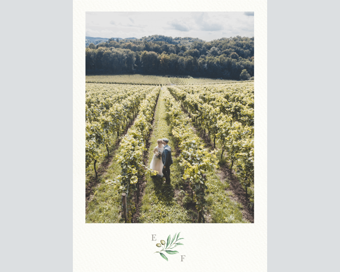Painted Winery - Poster de fotos (vertical)